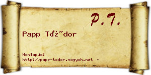 Papp Tódor névjegykártya